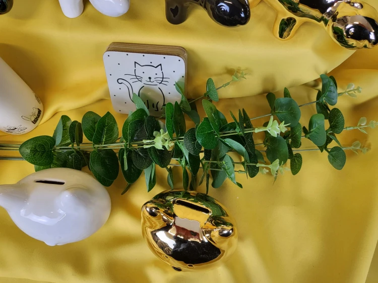 6aa85e2b4c91836fb56953819ec5bb71