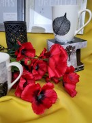 87582436a501f246b6fee7d17601fc1b