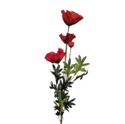 9204b8268e950e81fab22c5ede05869c