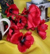 7b15a4a73775dfdda27e54954fd20e35