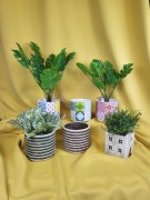 7dc6337f4e3b8b73b5c0cc7ed35aac2c