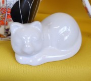 244be4115a6cf78980a8b26347053ddc