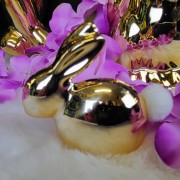 518d45d70300e986604b5d7ea186db3e