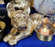 157f113ba0acece970e1e90c90e65188