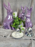 4e125611db4fd51c7bec36ffe0ea5822