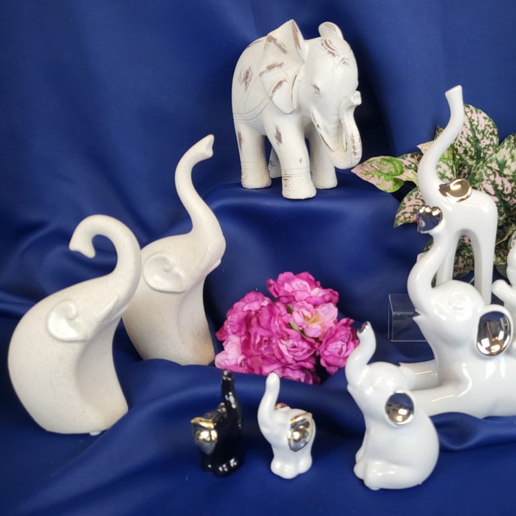 5a84c250c6b24469942daba579a04b38