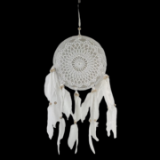 e3e5cdcebacd99faf1ddc04dd3004ae1