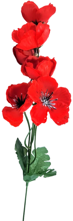 720f43e392a7cc8441593b6ca4d5b4d7