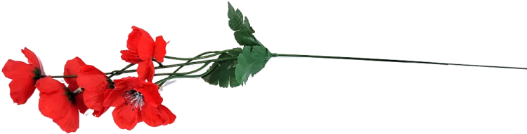 08f16a40a7bf958f838274ce283afcda