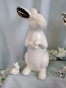 8fd714016a598c5c0df3edf872d05142