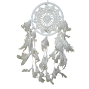 5169a49928642af5de70d3d3f9e4d021