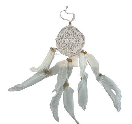 2ba9e0463eca9e54fe0f8a8c05bcbbb1