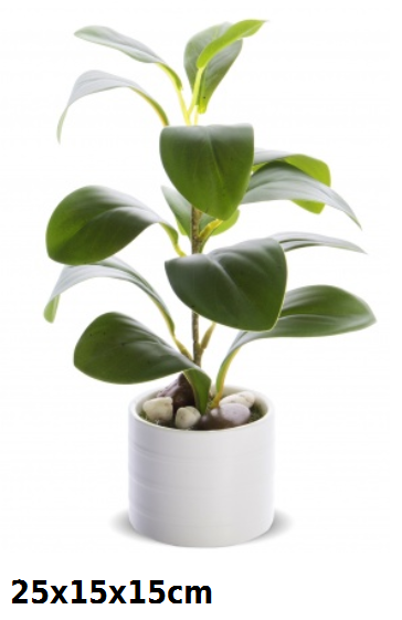 a81553431c40bc0ced96bfbbe41407e1