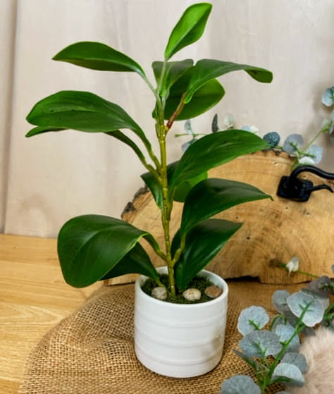 b57150d721f2637acc9e7e32742413d8