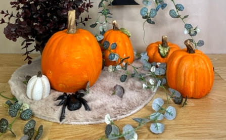 75cff4aa1d80ac377bb4c0f0b0674787