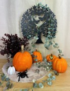 c6bae5d41c01c649404538458733ea65