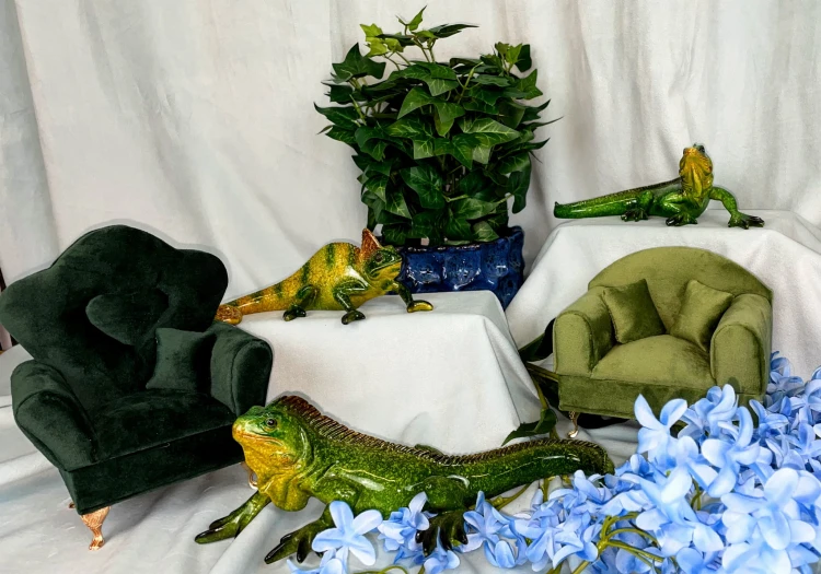 ce580184c58184702767b6940f6c6970