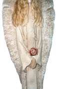 5feaa0227b66440d1bd295546bb8e355