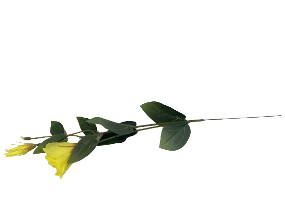 39baf1b904e95cf8031ae681f2a05dd6