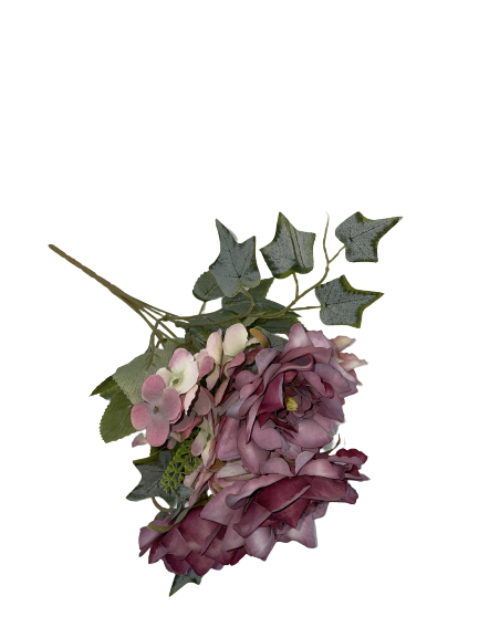 65ee07711282e46d25b4a4efa1732f5a