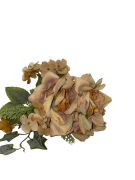 d0609b54661d69179f43181d285a859e