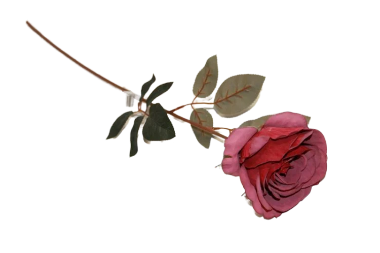 6bc837f9d8ae0f0232d096009ac5b57f