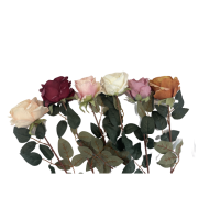 5087615a221586c6633f9698357533e1