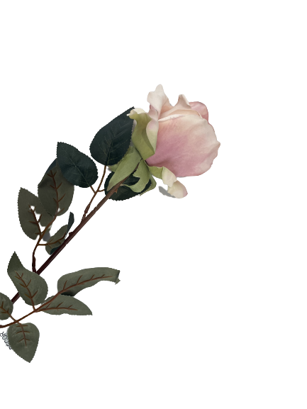 7e425c51a31eb6e4285cef404256c7da