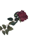 e044299c0ee6ce0ad94838a8d6729d4d