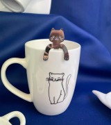 caa8404740a5e9cdd81dcd504473397b