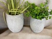 26de148e51590caa88fceab03afc9bab