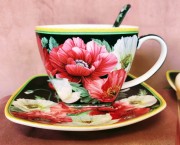 ace0edad8ee0259cd49a35db0cf70eea