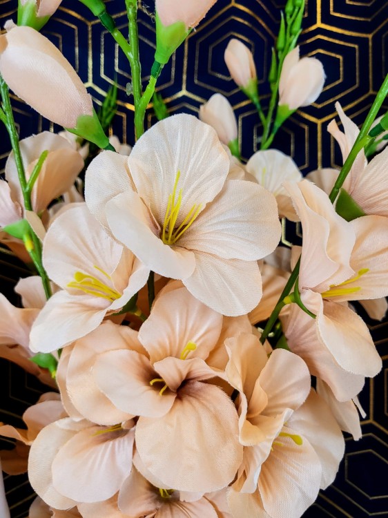 c59b0492707af44814d098456430b927