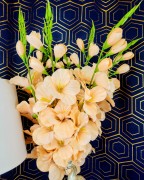 cc82164a3d18b989d859e13a9407da5a