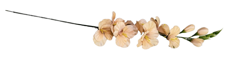 7458dc75682610f72a66b450be95553b