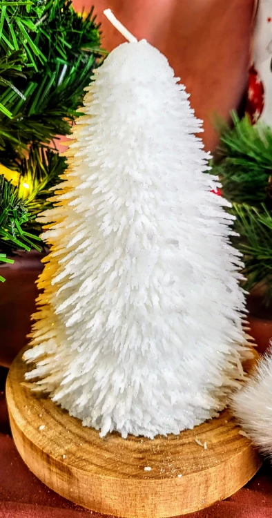 7444f7ba6d59578978380763f6a51176