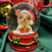 a977ee520fdffd1be329d5db5385ef7f