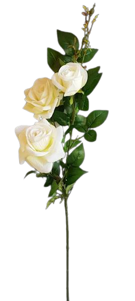 beb24c0c88de6f9f34f05981b4e04c63