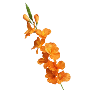 9ec8b063690c87185df883c55f217015