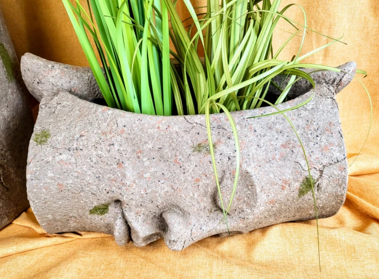 54e9d3862f477a5a8a1c122a5076e3b9