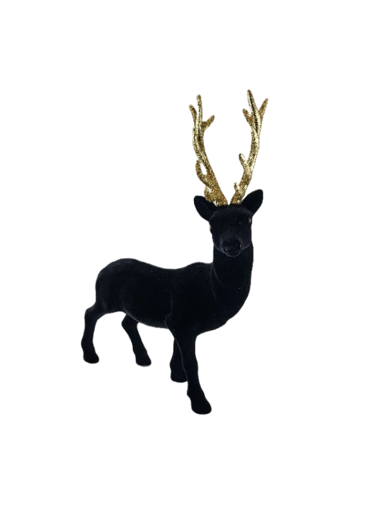 e67c3b89950c1219eb2c28c6c54e6907