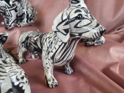 54396263cd1f59b2557c6c8c82e86568