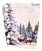 16c8ff1e20565c6ba4eb08761dbb2bfb