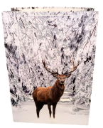 c272c6eb4f3957a69edb63a63442268d