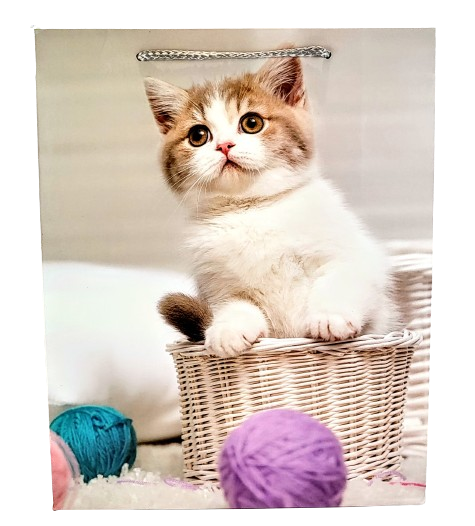 d1b6808e593a5ccdb914f072ab8282dd