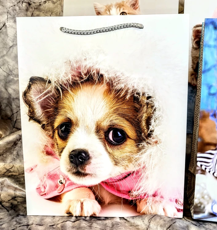 2821137c13dc843049f4016963c4d014