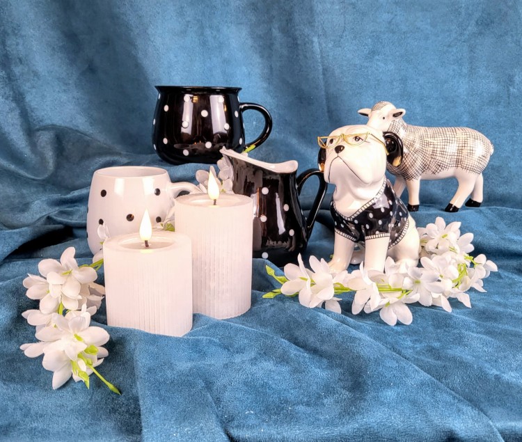 e48a04880ed3737f78909d5f78f588d4