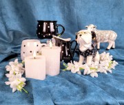 53545613f74bfd564ff3a74a8db72ee6