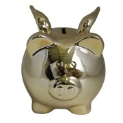 e2970309a7d376a40a6dfcd693c0220c