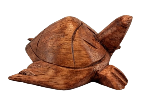 ae6ebb7a828a89c7d73b84fe205329b2